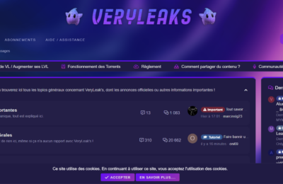 VeryLeak’s : Un aperçu complet de la plateforme de partage et de divulgation